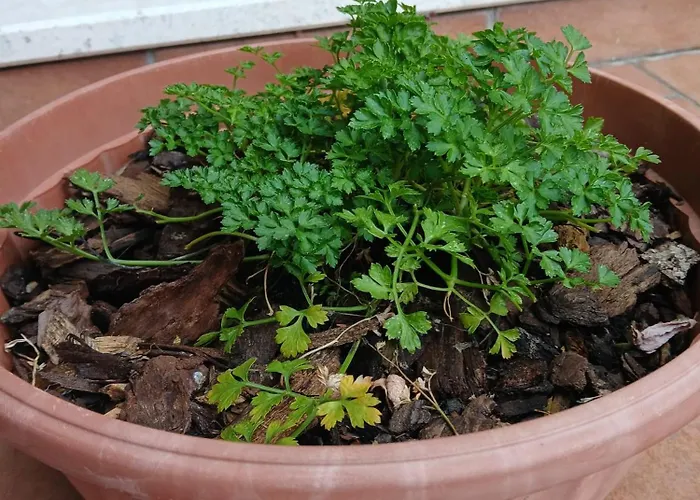 Kwatera prywatna Tiburtina - Tourist *