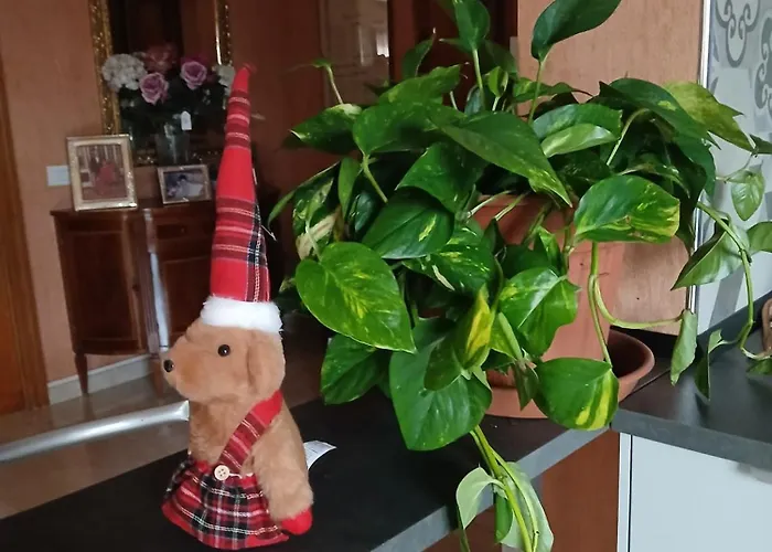 Tiburtina - Tourist Kwatera prywatna *