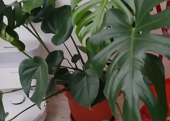 Kwatera prywatna Tiburtina - Tourist